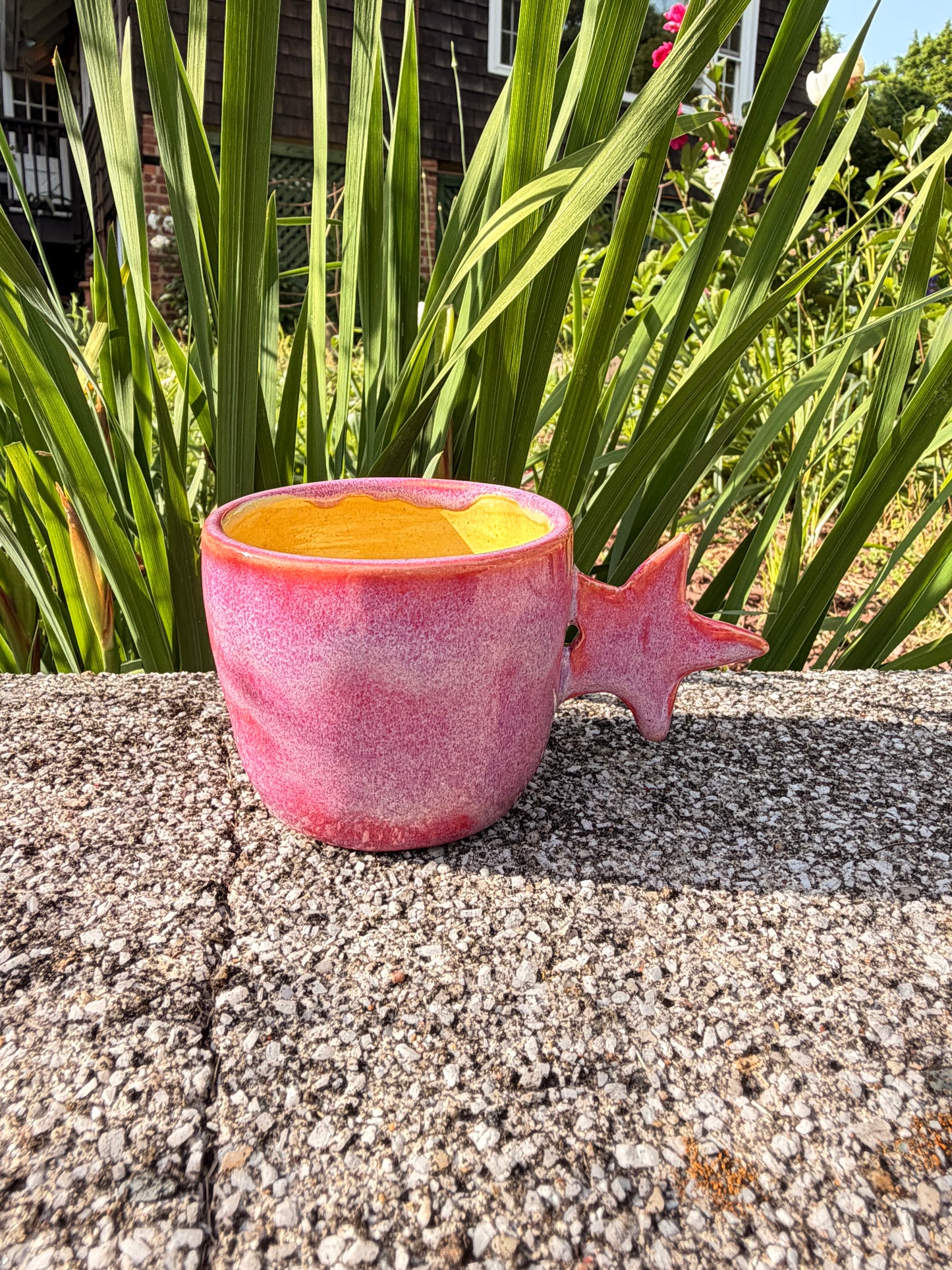 Pink Star Espresso Mug
