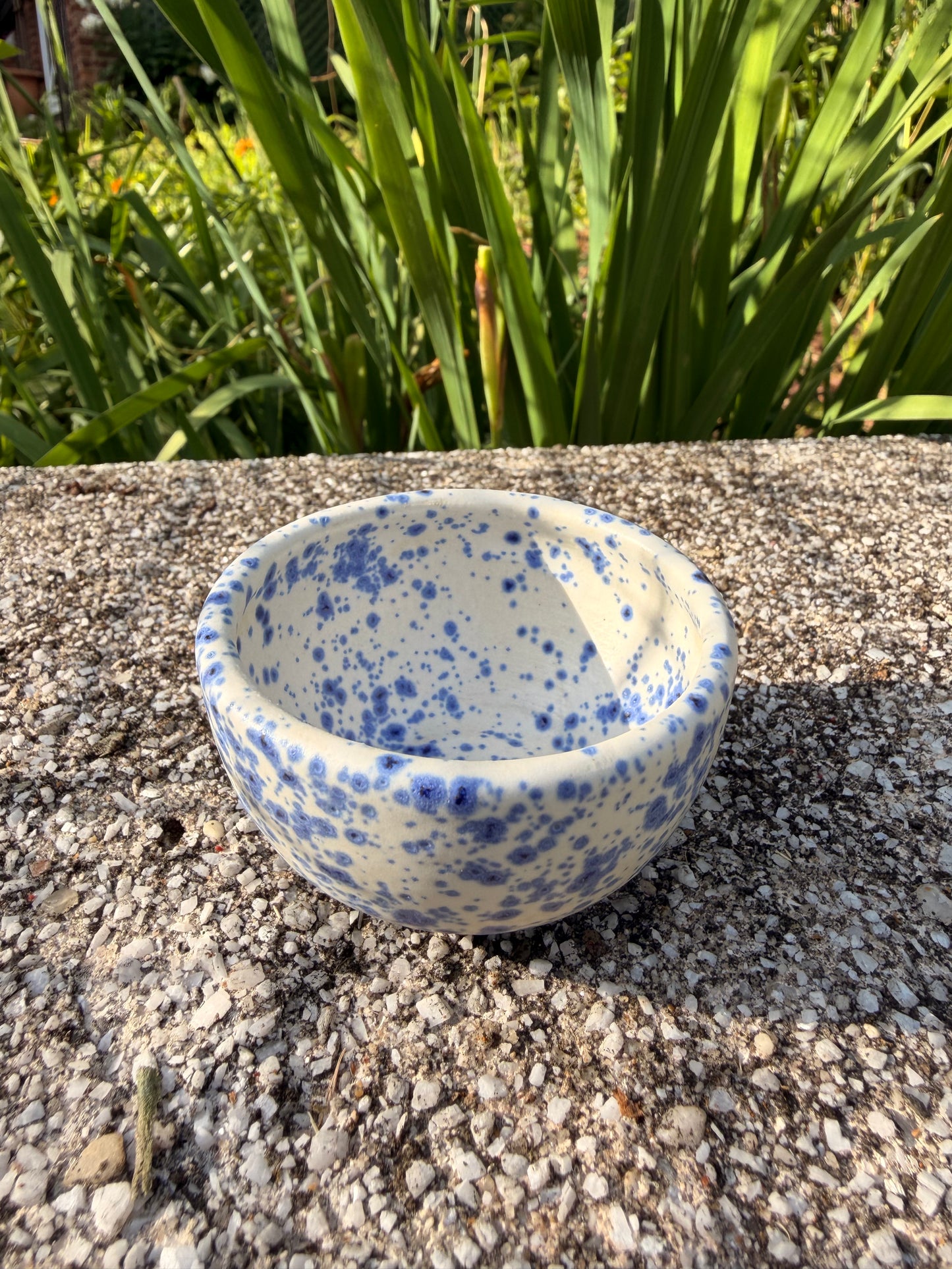 Blue Splatter Sauce Cup