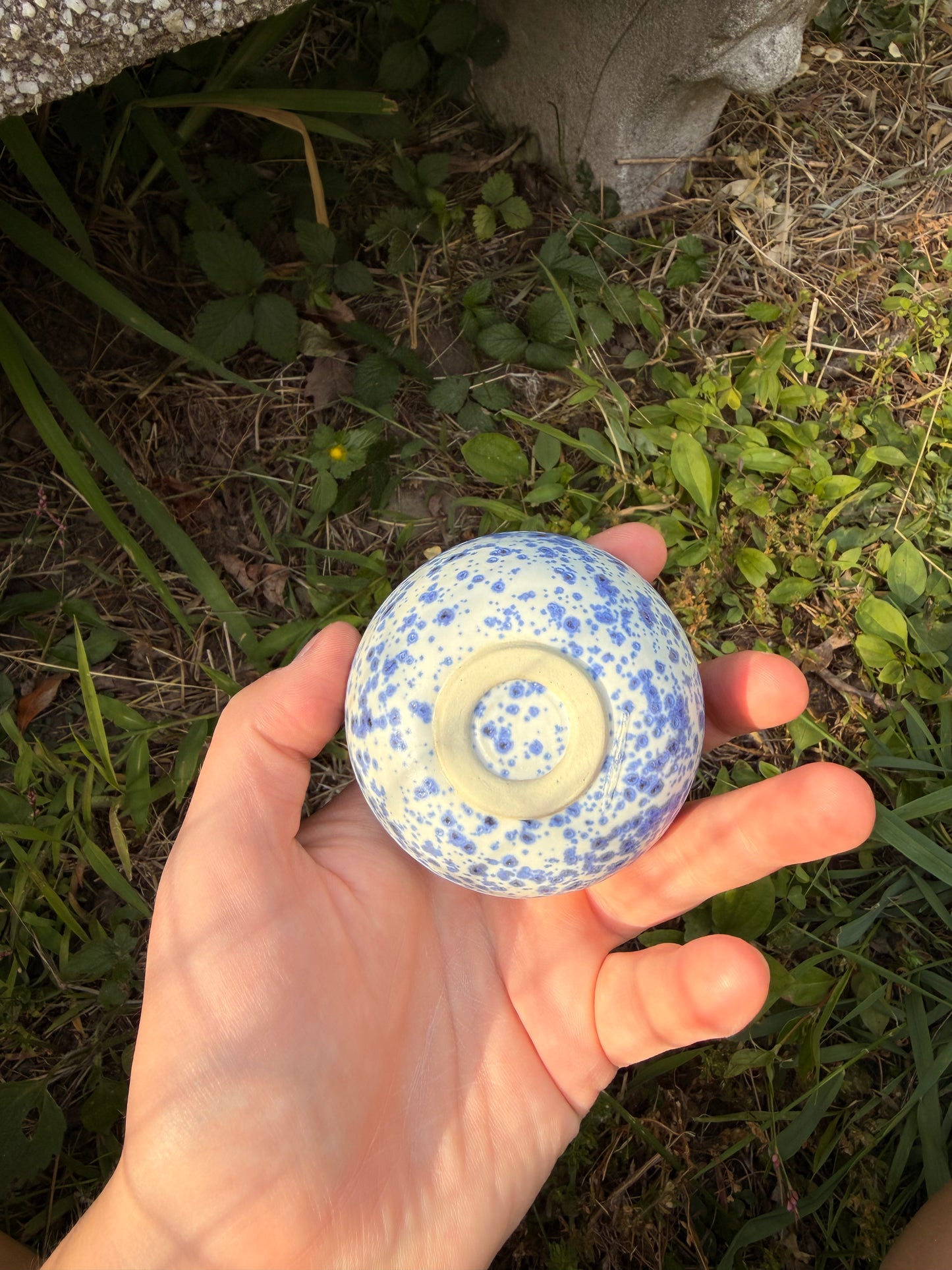 Blue Splatter Sauce Cup