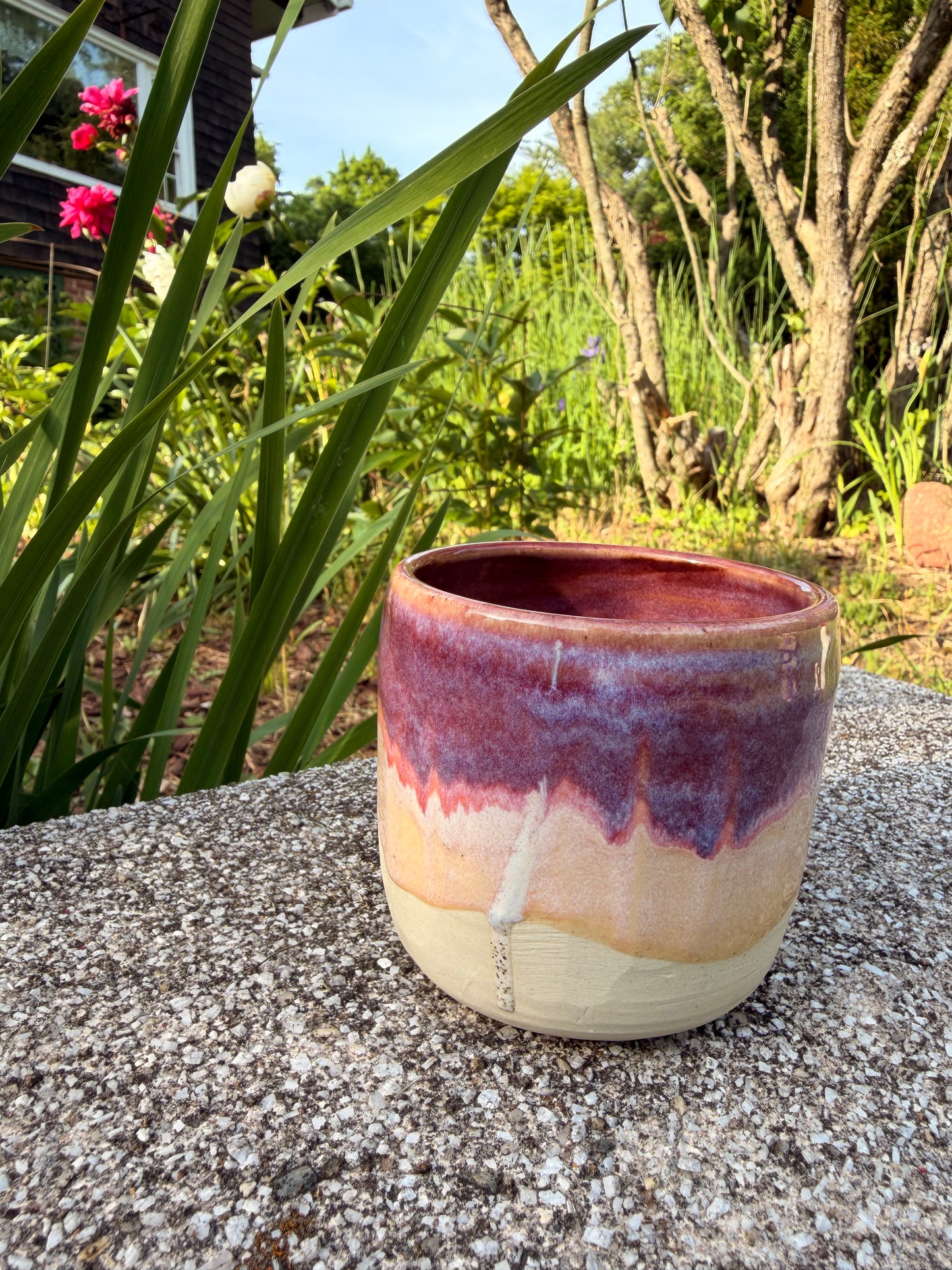 Small Purple Tumbler