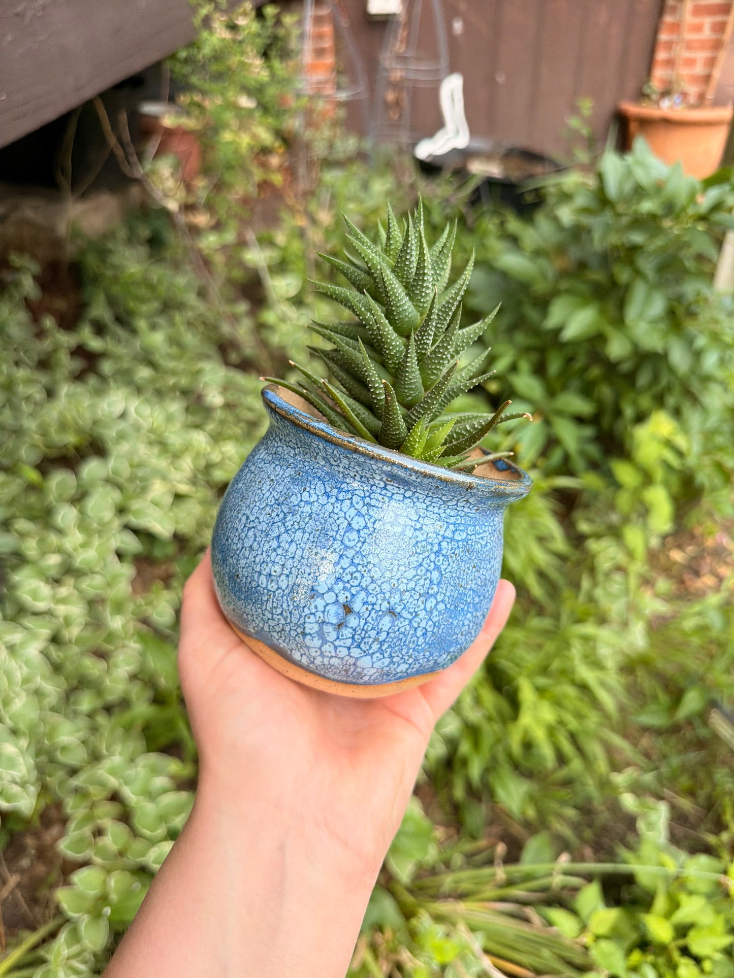 Blue Crackle Plant Pot