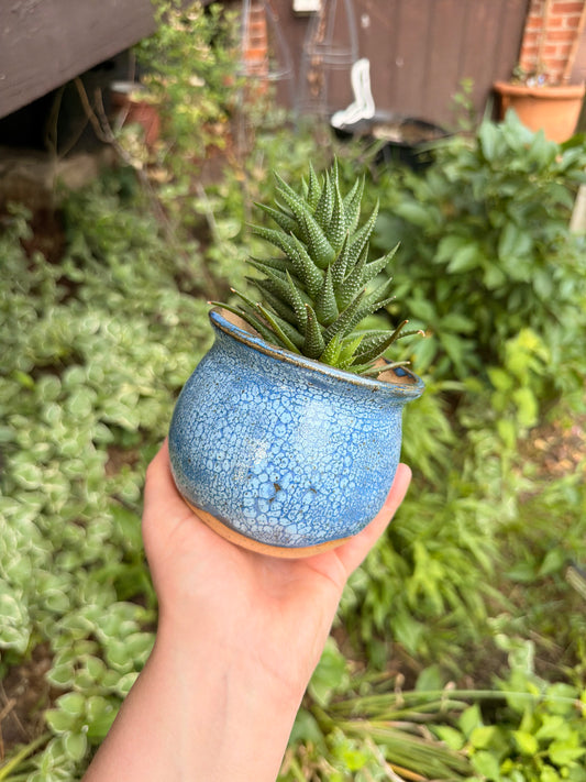 Blue Crackle Plant Pot