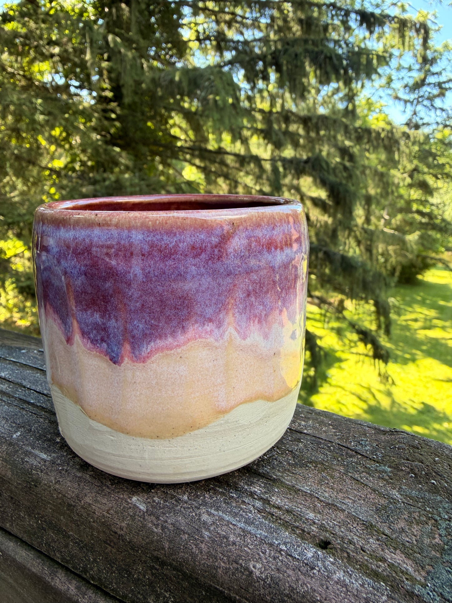 Small Purple Tumbler